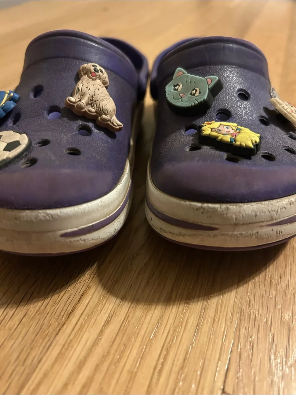 CROCS Kids Purple Slip-On Clogs with Fun Charms